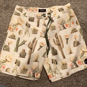 Brixton cacti swim trunks • cactus print